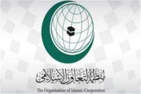 ورشة العمل التدريبية الأولى بملف المرأة 